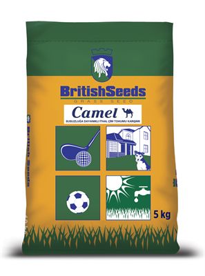 Camel Çim Tohumu