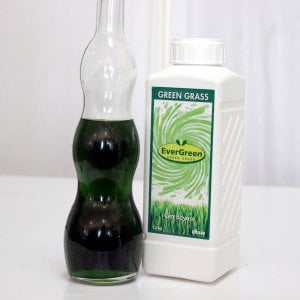 Çim Boyası Green Grass (250 M2 İÇİNDİR)